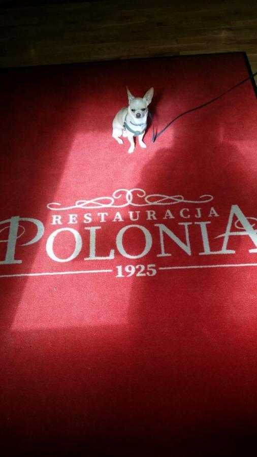 Hotelik Polonia Lowicz Luaran gambar